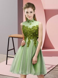 Romantic Tulle Lace Up High-neck Sleeveless Knee Length Dama Dress Appliques