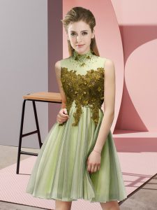 Cute Yellow Green Tulle Lace Up High-neck Sleeveless Knee Length Dama Dress Appliques