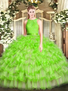 Scoop Sleeveless Zipper Quinceanera Dresses Organza