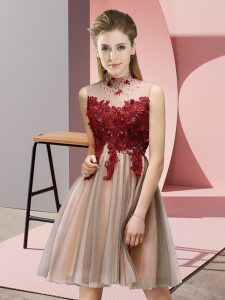 Pink Court Dresses for Sweet 16 Prom and Party and Wedding Party with Appliques High-neck Sleeveless Lace Up