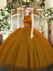 Glittering Floor Length Ball Gowns Sleeveless Brown 15 Quinceanera Dress Clasp Handle