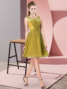 Chiffon Sleeveless Knee Length Dama Dress and Appliques