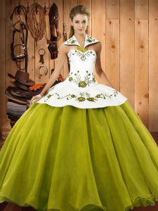 Olive Green Sleeveless Floor Length Embroidery Lace Up Quinceanera Gowns