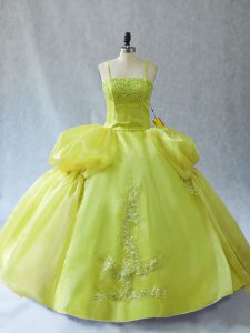Fitting Sleeveless Organza Floor Length Lace Up Quinceanera Gown in Yellow Green with Appliques