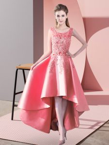Sleeveless Lace Zipper Dama Dress