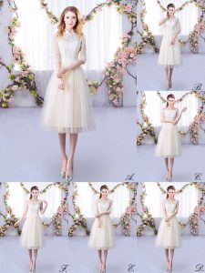 Champagne Tulle Lace Up Dama Dress Half Sleeves Tea Length Lace