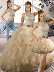 Beautiful Champagne Sleeveless Tulle Zipper Quinceanera Dresses for Sweet 16 and Quinceanera