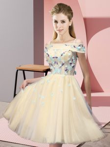 Decent Short Sleeves Knee Length Appliques Lace Up Quinceanera Court Dresses with Gold