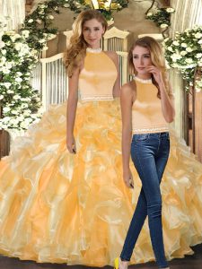 Organza Sleeveless Floor Length Ball Gown Prom Dress and Beading and Ruffles