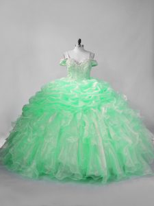 Clearance Apple Green Organza Lace Up 15 Quinceanera Dress Sleeveless Beading and Pick Ups