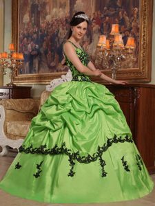 Straps Spring Green Pick Ups Sweet 15 Dress with Appliques