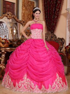 Popular Appliqued Hot Pink Sweet Sixteen Quinceanera Dress