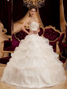 Organza Embroidery Ivory Quinceanera Party Dress for Autumn