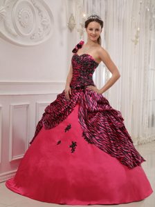 Pink One Shoulder Taffeta and Zebra Quinceanera Gown in Farnborough