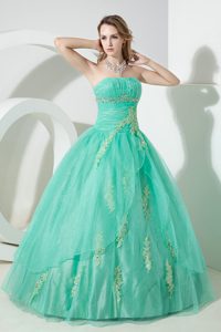 Turquoise Organza Appliques Sweet 16 Dresses in Newtownabbey