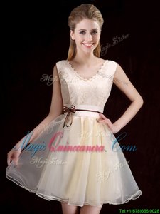 Colorful Mini Length Champagne Dama Dress for Quinceanera V-neck Sleeveless Lace Up
