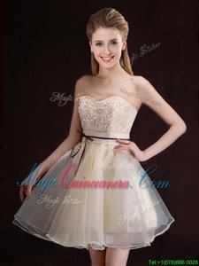 Sleeveless Organza Mini Length Lace Up Quinceanera Court Dresses in Champagne for with Appliques and Belt