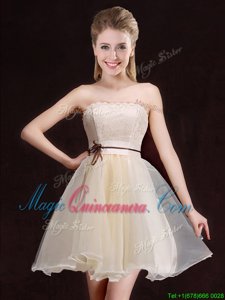 Affordable Champagne Sleeveless Organza Lace Up Damas Dress for Prom and Party and Wedding Party