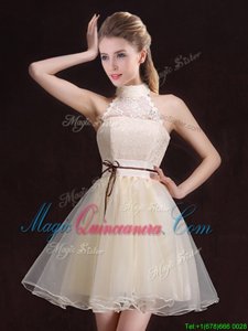 Edgy Halter Top Organza Sleeveless Mini Length Dama Dress for Quinceanera and Lace and Belt
