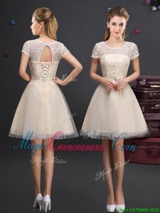 Custom Designed Scoop Champagne Short Sleeves Mini Length Lace and Appliques and Belt Lace Up Damas Dress