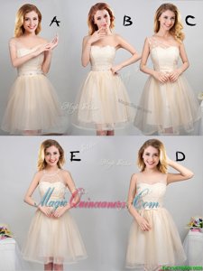 A-line Damas Dress Champagne Off The Shoulder Tulle Sleeveless Mini Length Lace Up
