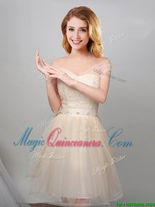 Off The Shoulder Short Sleeves Lace Up Dama Dress Champagne Tulle