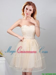 Comfortable Champagne Lace Up Quinceanera Court of Honor Dress Lace and Appliques Sleeveless Mini Length