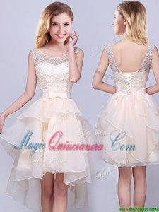 Superior Scoop Sleeveless Organza Dama Dress for Quinceanera Lace and Ruffles Lace Up