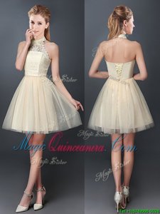 Admirable Halter Top Sleeveless Lace Up Quinceanera Court of Honor Dress Champagne Tulle