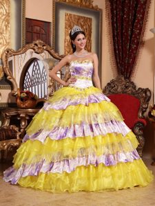 Multi-Color Beaded Sweetheart Ruffled La Quinceanera Dresses Organza