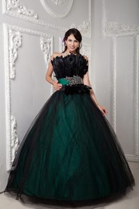 Tulle Ball Gown Strapless Sweet 15 Dress Feather and Beaded Decorate