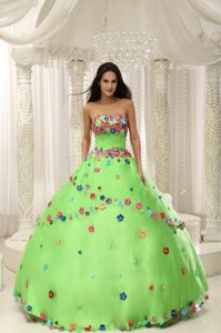 Spring Green Sweet 16 Dress with Multi-color Hand Made Flowers and Beading