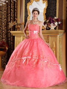 Watermelon Quinceanera Gown by Organza with Appliques and Pink Bow