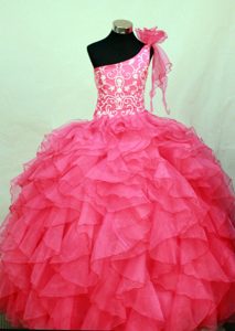 Hot Pink One Shoulder Glitz Pageant Dresses with Embroidery and Flower