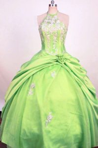 Spring Green Halter Appliqued Little Girl Pageant Dress Handmade Flower