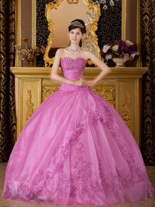 Rose Pink Sweetheart Quinceanera Dress with Appliques by Organza