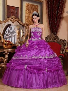 Fuchsia Strapless Organza Appliques Dresses for Quinceaneras On Plus Size