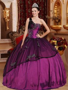 Purple and Black One Shoulder Quinceanera Dress with Appliques