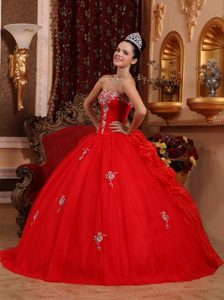 Appliques and Pick ups Red Quinceanera Gown Dresses Floor Length
