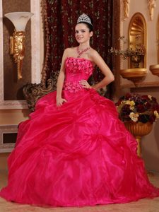 Modernistic Hot Pink Flowers Quinceanera Dress Jacaltenango