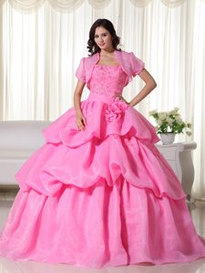 Hot Sale Rose Pink Appliqued Pick Ups Quinceanera Dress