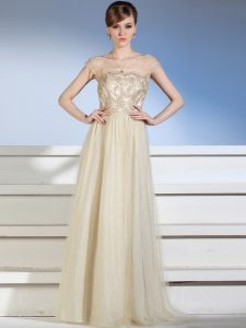 Chiffon and Tulle Bateau Sleeveless Side Zipper Appliques Mother Of The Bride Dress in Champagne