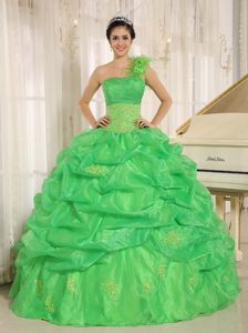 one Shoulder Pick Ups Spring Green Quinceanera Gown Dresses