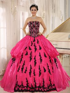 Low Price Hot Pink and Black Appliqued Sweet Sixteen Dresses