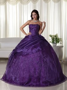 2013 Popular Dark Purple Organza Quinceanera Dresses with Flowers