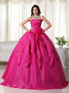 Flowers and Embroidery Accent Fuchsia Quinceanera Gowns Lace-up