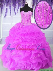 Sweetheart Sleeveless Organza Sweet 16 Quinceanera Dress Ruffles and Sequins Lace Up