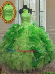 Super Multi-color Organza Lace Up Vestidos de Quinceanera Sleeveless Floor Length Beading and Ruffles