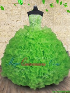 Adorable Ball Gowns Ball Gown Prom Dress Strapless Organza Sleeveless Floor Length Lace Up