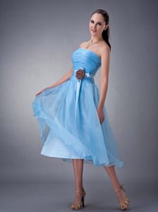 Baby Blue Strapless Tea-length Chiffon Dama Dresses in Wokingham